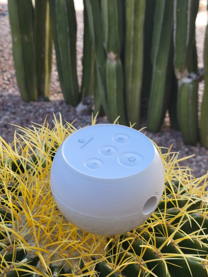 A white tech gadget with buttons, powered by a Transcend PowerAway Micro Battery, resting on a yellow cactus, with green cacti in the background.